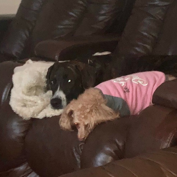 Meet your Posher, Monica - Picture 8 of 8